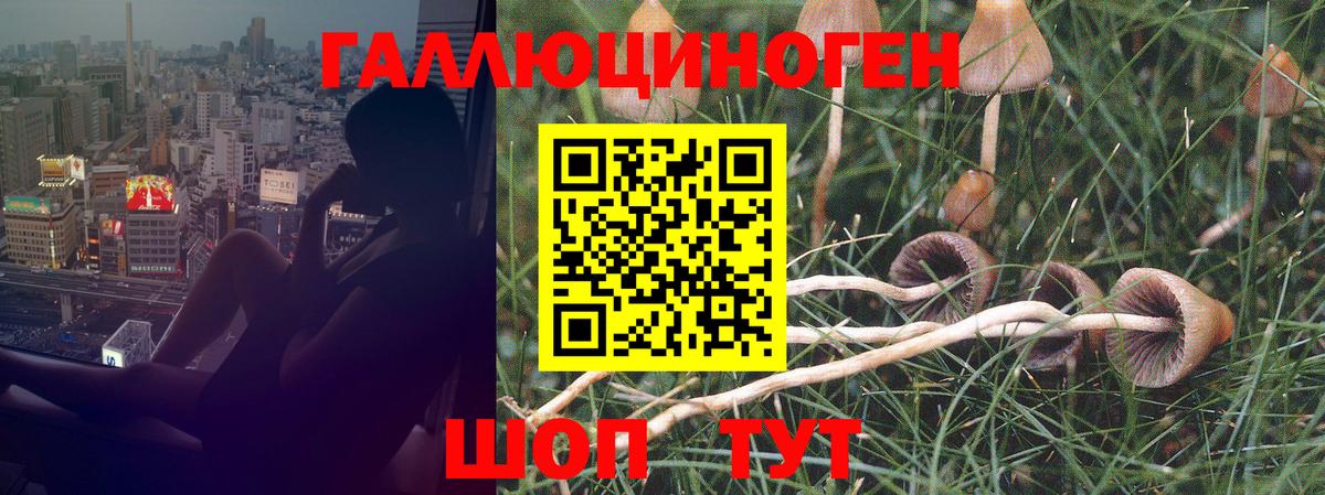 Псилоцибиновые грибы MAGIC MUSHROOMS Зеленокумск